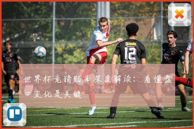 世界杯竞猜赔率深度解读:看懂盘口变化是关键