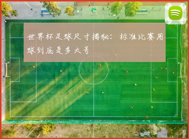 世界杯足球尺寸揭秘：标准比赛用球到底是多大号