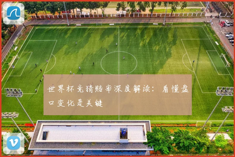 世界杯竞猜赔率深度解读:看懂盘口变化是关键