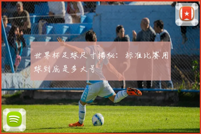 世界杯足球尺寸揭秘：标准比赛用球到底是多大号