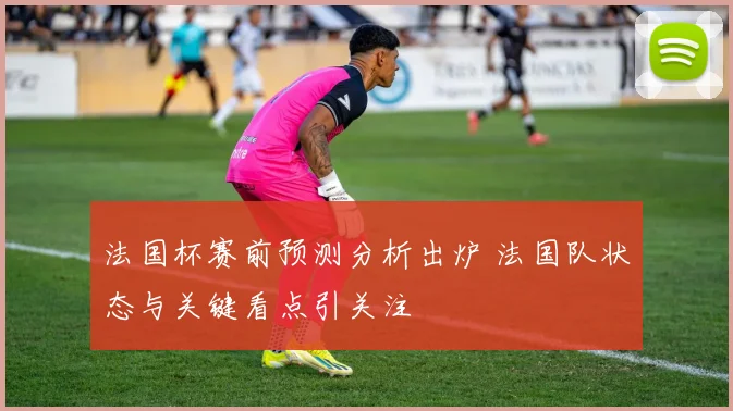 法国杯赛前预测分析出炉 法国队状态与关键看点引关注